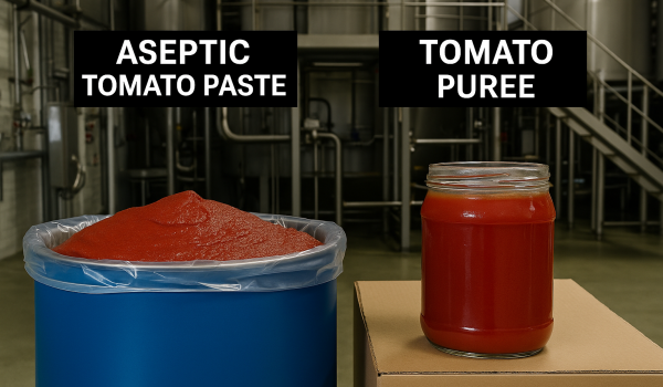 Aseptic Tomato Paste vs Tomato Puree – Industrial Comparison