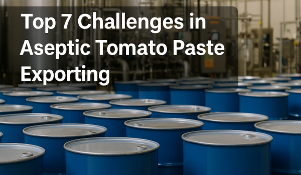 Aseptic tomato paste export facility showcasing industrial packaging and logistics challenges