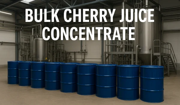 Bulk Cherry Juice Concentrate in blue drums inside industrial factory – Tomexa export packaging