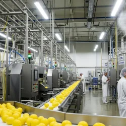 Lemon Juice Concentrate Production Line – TOMEXA factory, aseptic packaging in 265 kg drums for global export